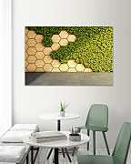 Obraz Vertikálna zelená záhrada na drevenej stene 1980